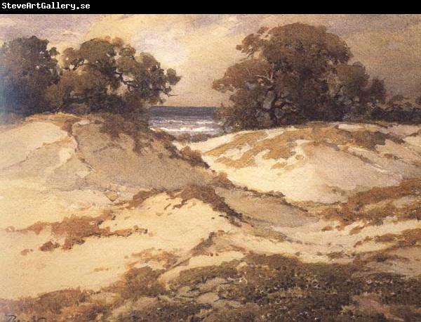 Percy Gray Antumn Dunes (mk42)